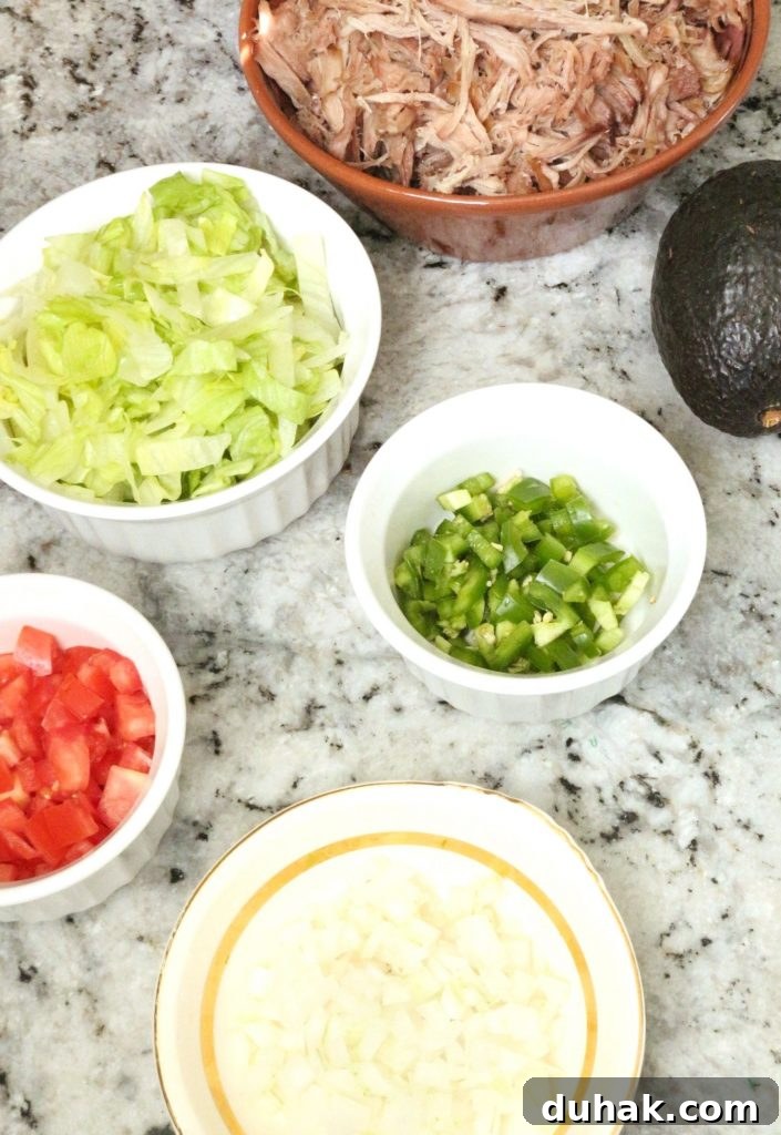 Ingredients for pork burritos #porkburritos #mexicanfood #porkandavocadoburritos