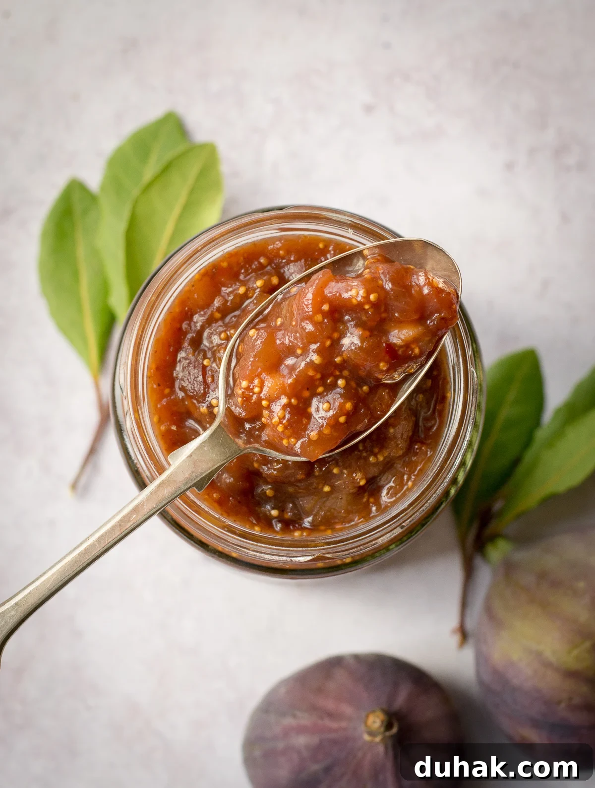 Ginger Lemon Fig Chutney Recipe: Sweet-Spicy Preserve 6 Easy Fig Chutney on spoon