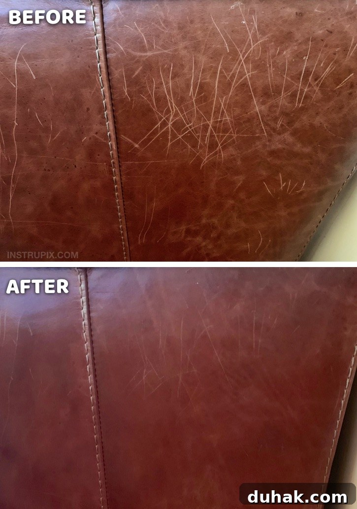 Useful Life Hack: How to removes scratches on leather furniture with one simple ingredient! This easy trick works like a charm. If you have cats, this tip will really come in handy! DIY Homemade Leather Scratch Repair #instrupix #lifehacks 