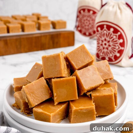 Peanut Butter Fudge with 2 Ingredients: Quick No-Bake Recipe 9 peanut butter pieces on a plate