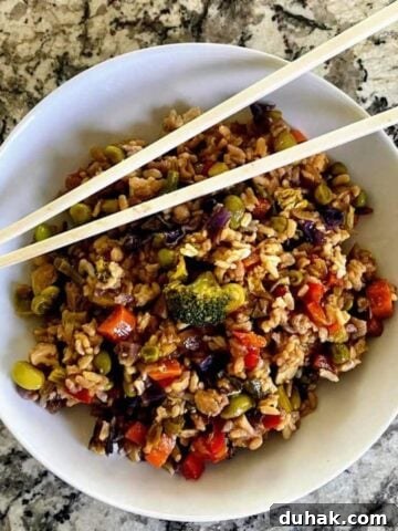 vegan vegetable fried rice