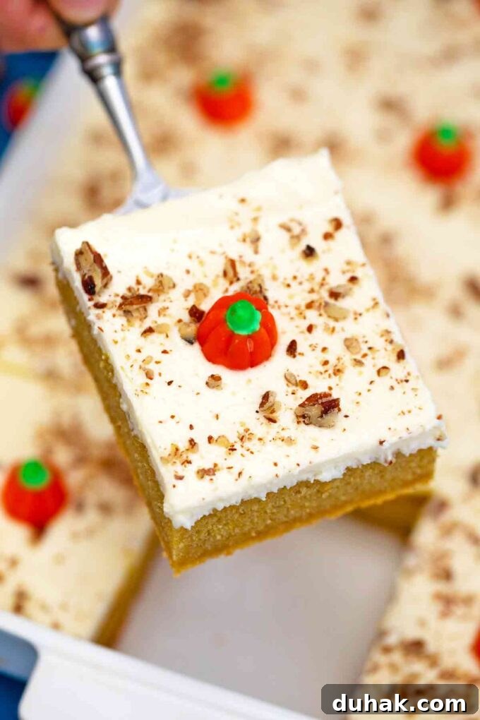 A slice of homemade pumpkin sheet cake with cream cheese frosting