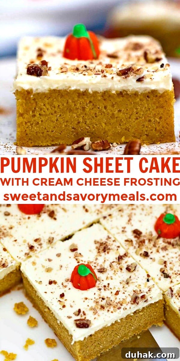 The best pumpkin sheet cake recipe