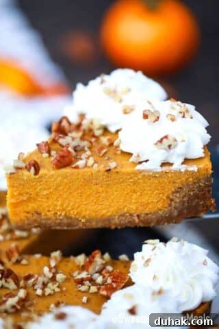 pumpkin pie slice with whipped cream