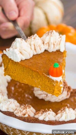 Crustless Pumpkin Pie Slice