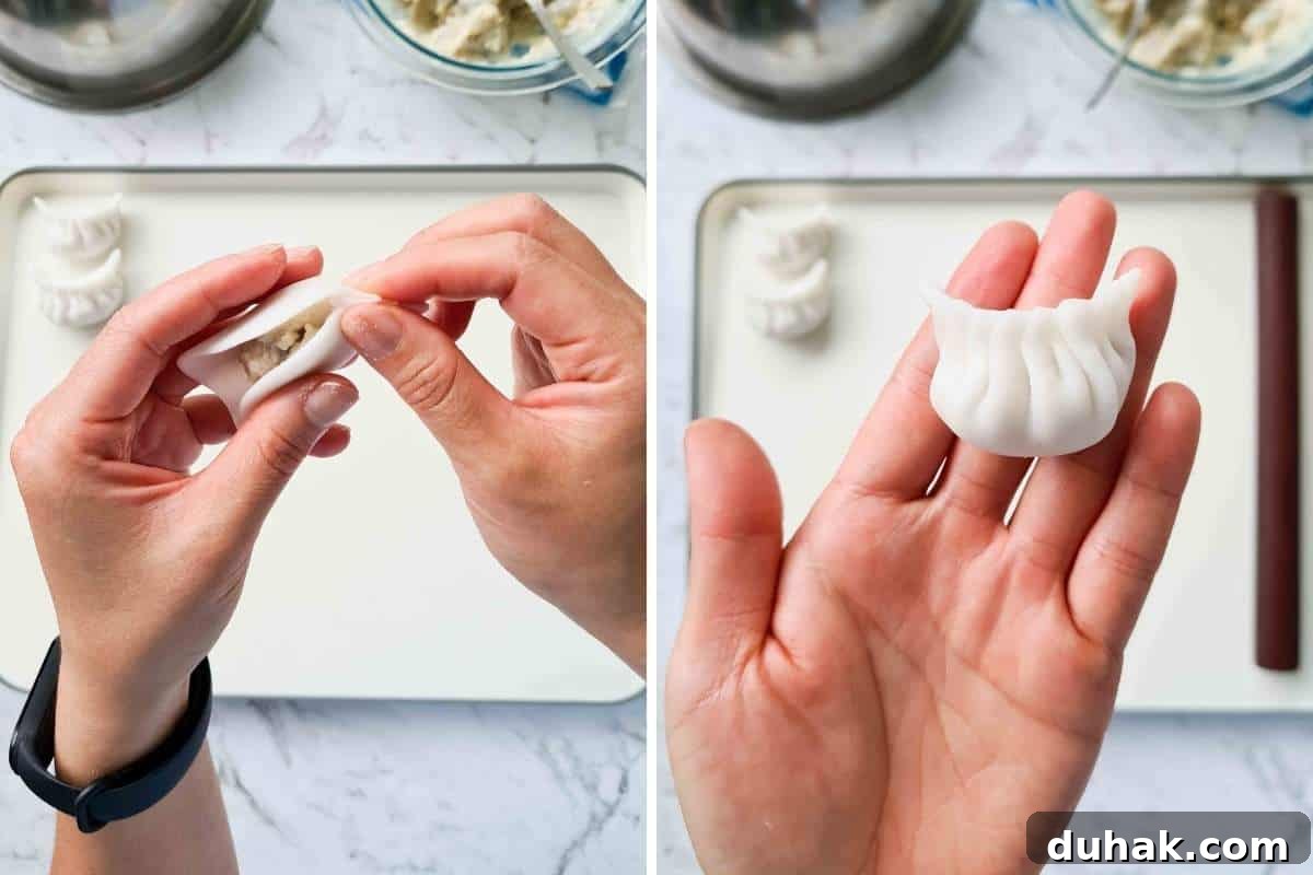 Two step collage of folding a har gow part 2