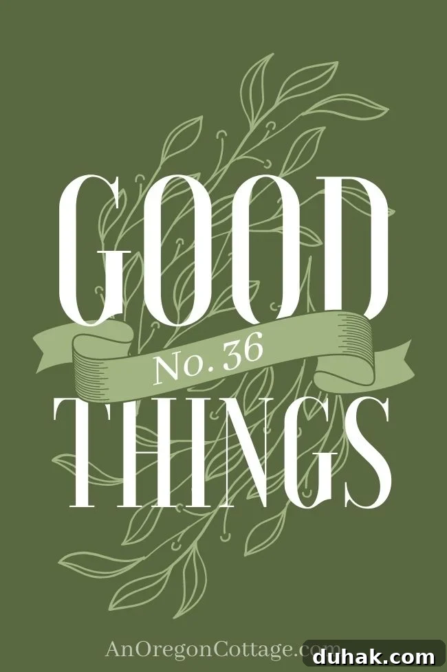 Farmhouse Moving Day: Vintage Rugs, Linen Finds, Books & More 2 Good Things List_36 image