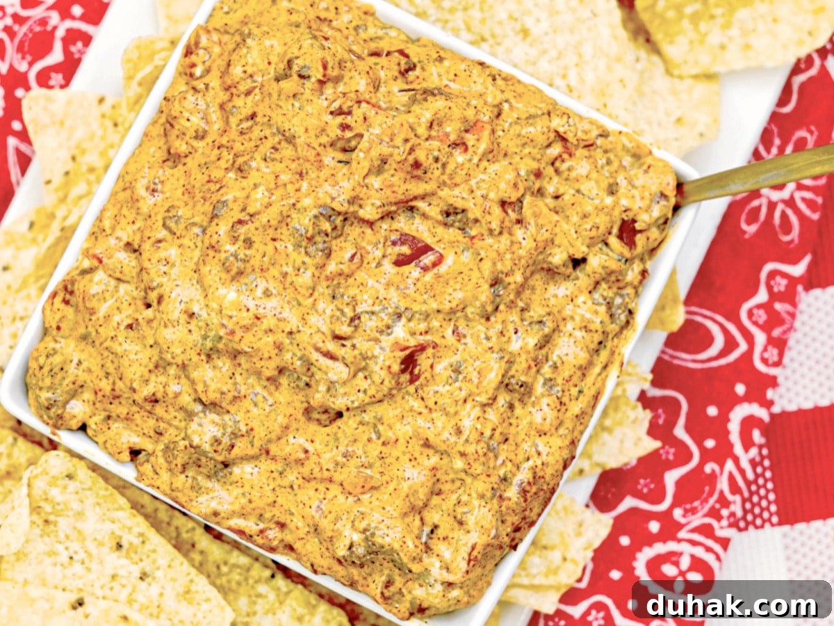 queso dip recipe with meat