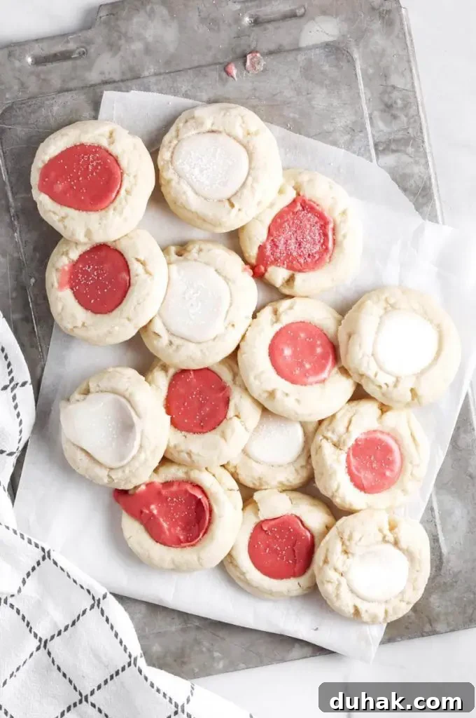 Vegan Gluten-Free Christmas Cookie Recipes 6 An assortment of gluten-free Christmas cookies.