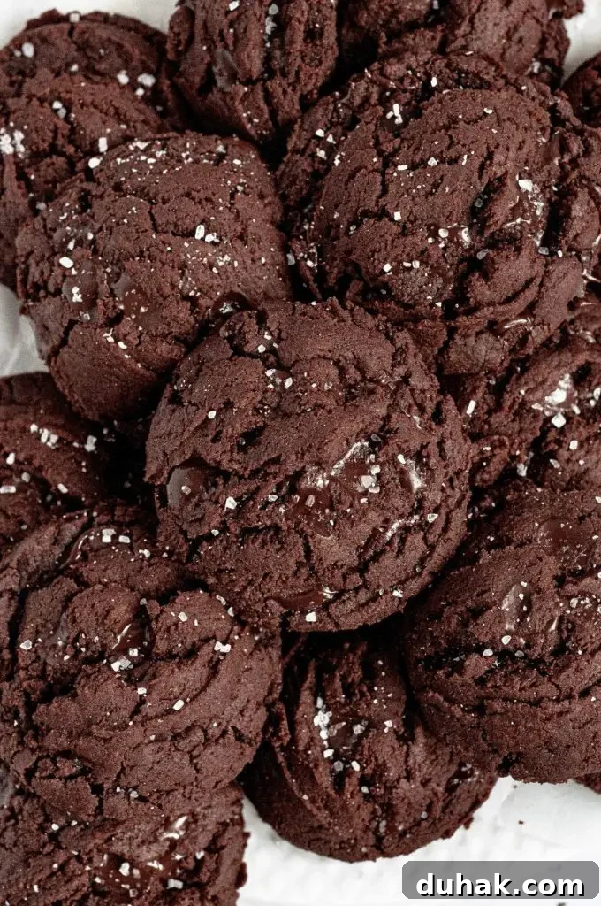 Vegan Gluten-Free Christmas Cookie Recipes 7 An assortment of gluten-free Christmas cookies.