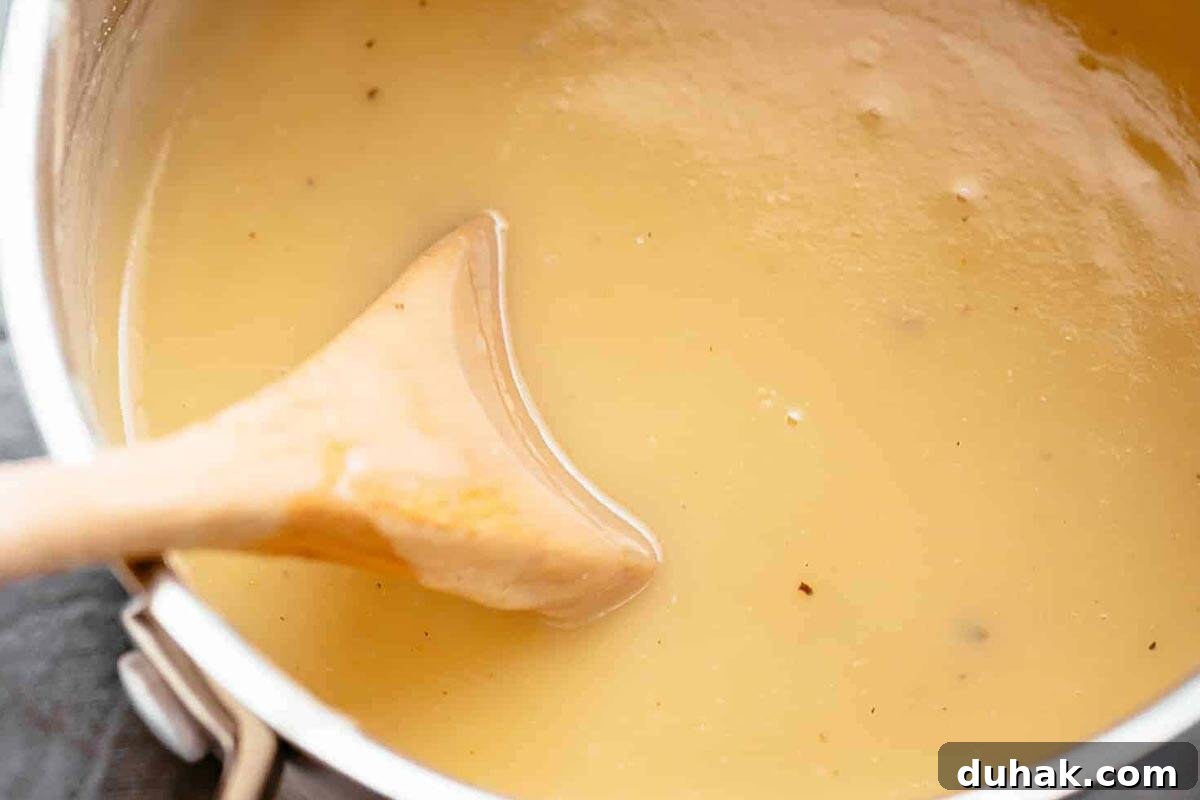 Close-up shot of Turkey Gravy.