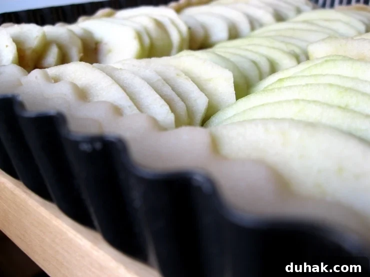 Alice Waters’ Classic Apple Tart Recipe 2 French Apple Tart Recipe | sophisticatedgourmet.com