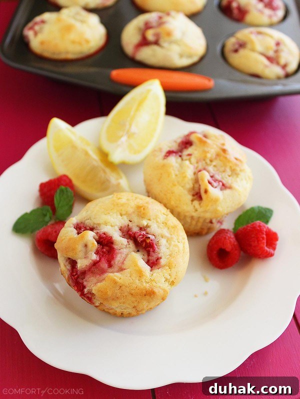 Super-Soft Lemon Raspberry Muffins Recipe for Moist, Zesty Bites 2 Super Soft Lemon-Raspberry Muffins – Wake up to a batch of these super soft, summery lemon raspberry muffins. They freeze and reheat easily, too! | thecomfortofcooking.com