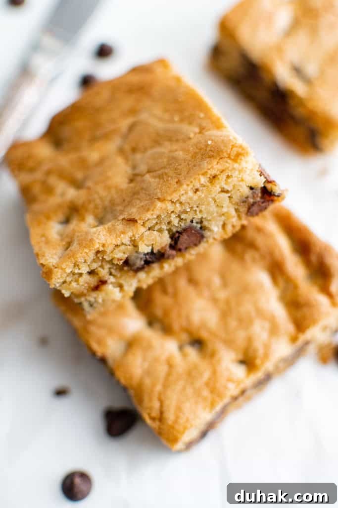 Congo Bars Recipe: Chewy Chocolate Brownie Squares 2 Two cookie bars leaning against each other.