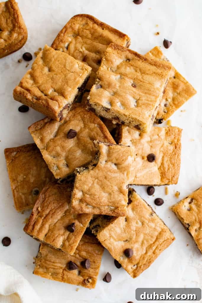 Congo Bars Recipe: Chewy Chocolate Brownie Squares 5 Top down view of a batch of congo bars.