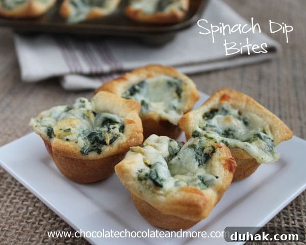 Spinach Dip Bites