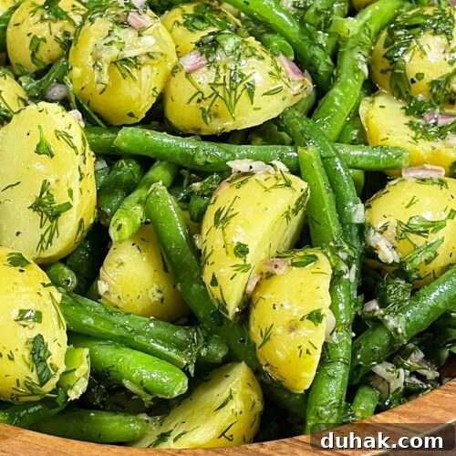 Close up of green bean potato salad with fresh dill.
