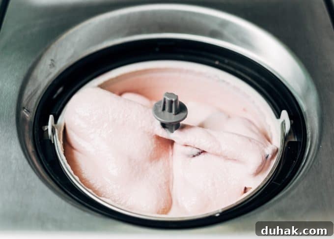 boozy ice cream in an ice cream compressor