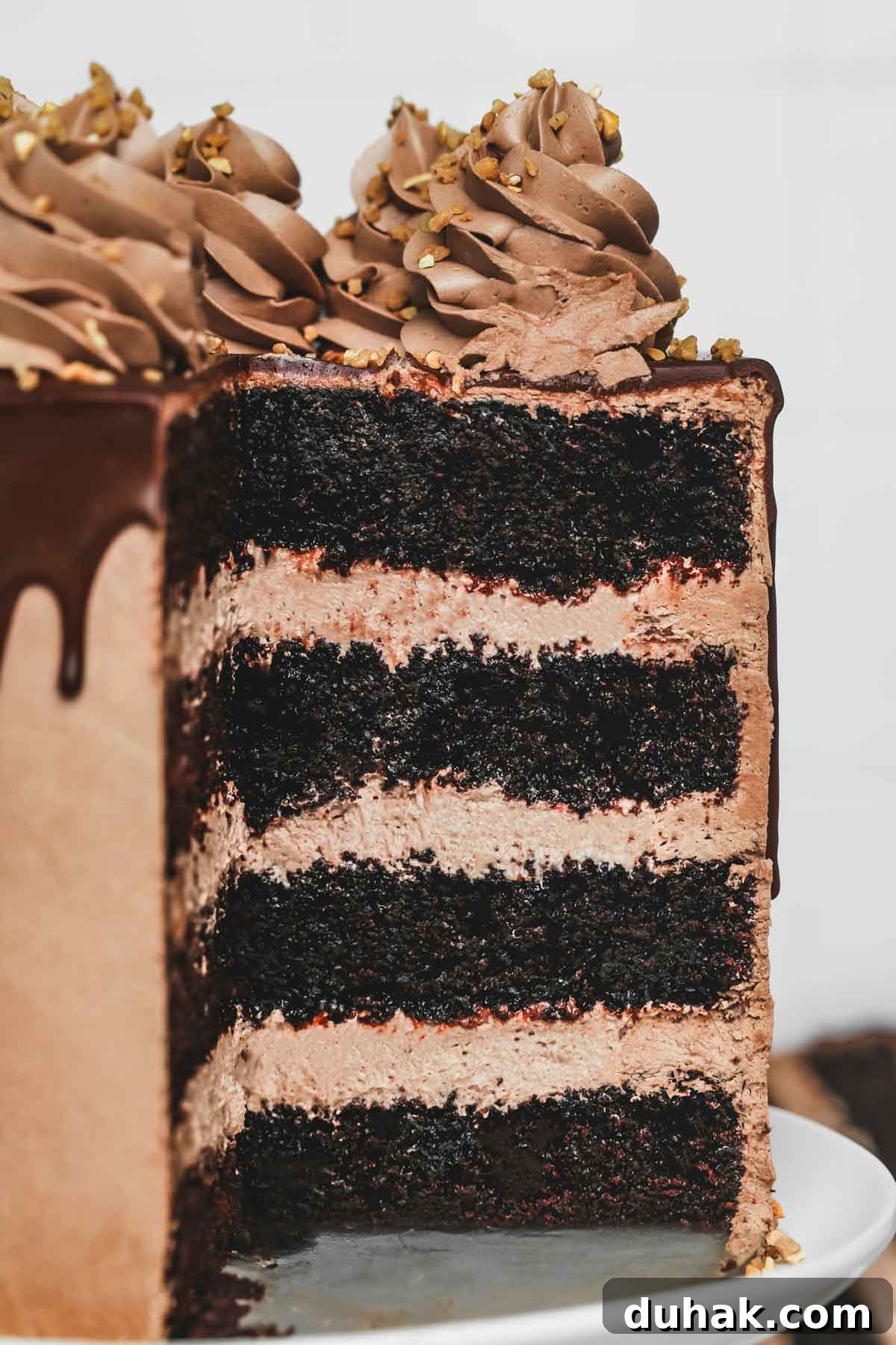Decadent Nutella Chocolate Cake Recipe for Chocolate Lovers 3 Slice of Nutella cake with creamy chocolate hazelnut frosting