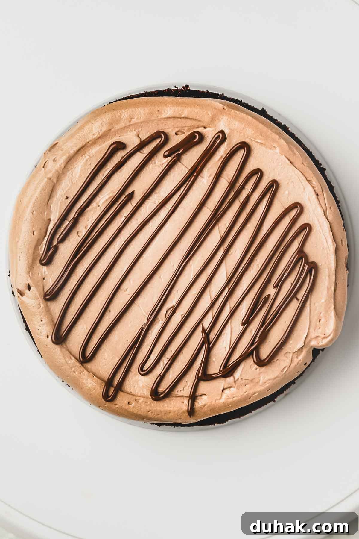 Decadent Nutella Chocolate Cake Recipe for Chocolate Lovers 9 Smooth Nutella buttercream ready for frosting a layer cake