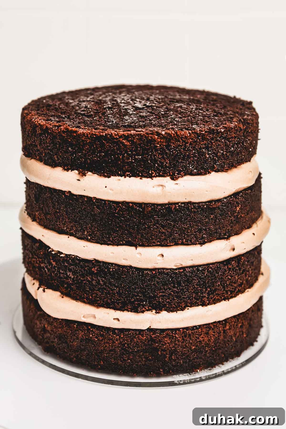 Decadent Nutella Chocolate Cake Recipe for Chocolate Lovers 10 Chocolate cake layer frosted with Nutella buttercream