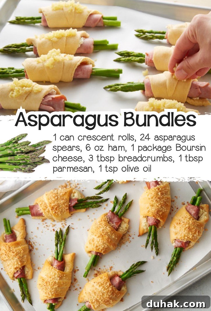 24 Creative Recipes You Can Make With Canned Refrigerated Dough 13 Asparagus and ham bundles wrapped in crescent dough on a baking sheet.