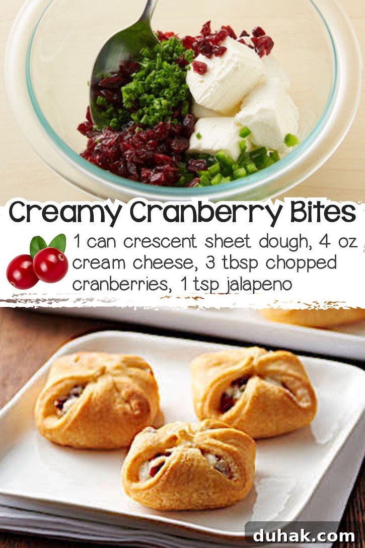 24 Creative Recipes You Can Make With Canned Refrigerated Dough 24 Bites made from sheet dough stuffed with cream cheese, cranberries, and jalapeños for a sweet-spicy appetizer.