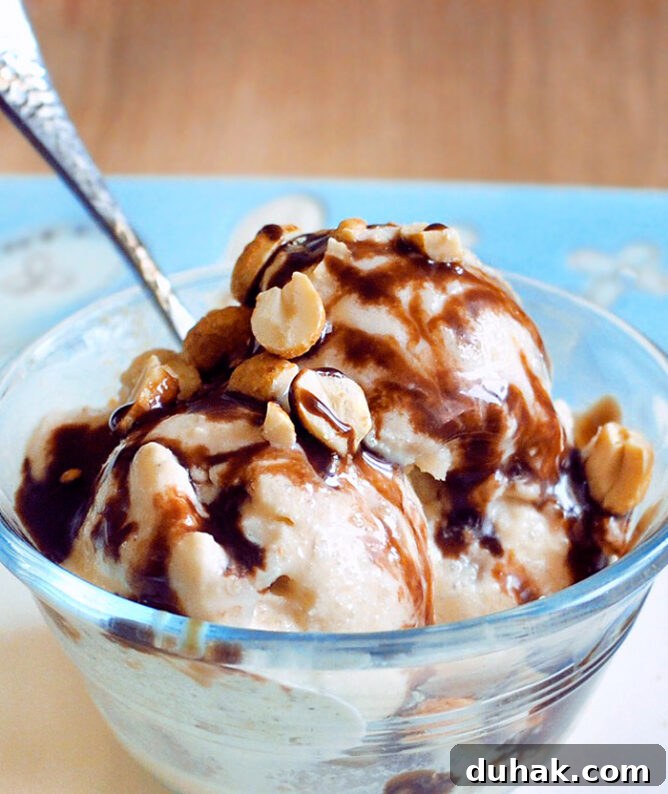 Low Calorie Peanut Butter Ice Cream