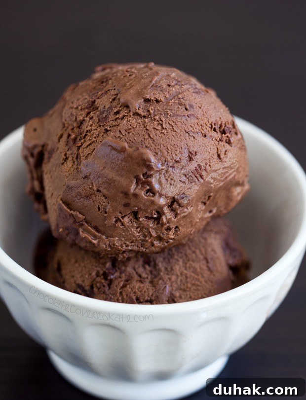 Chocolate Peanut Butter Nice Cream