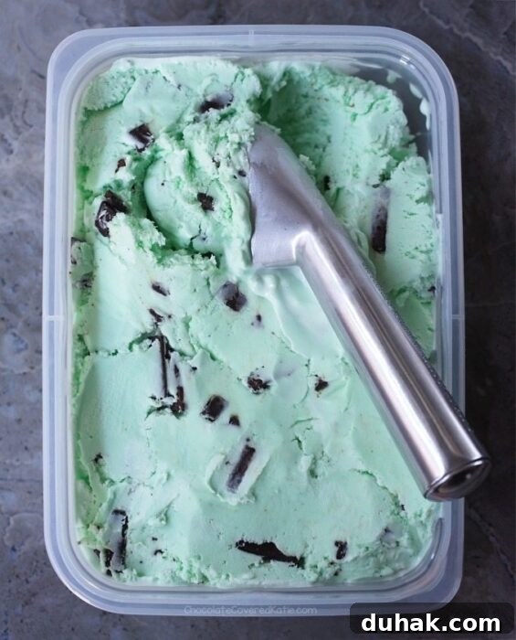 Mint Chocolate Chip Vegan Ice Cream