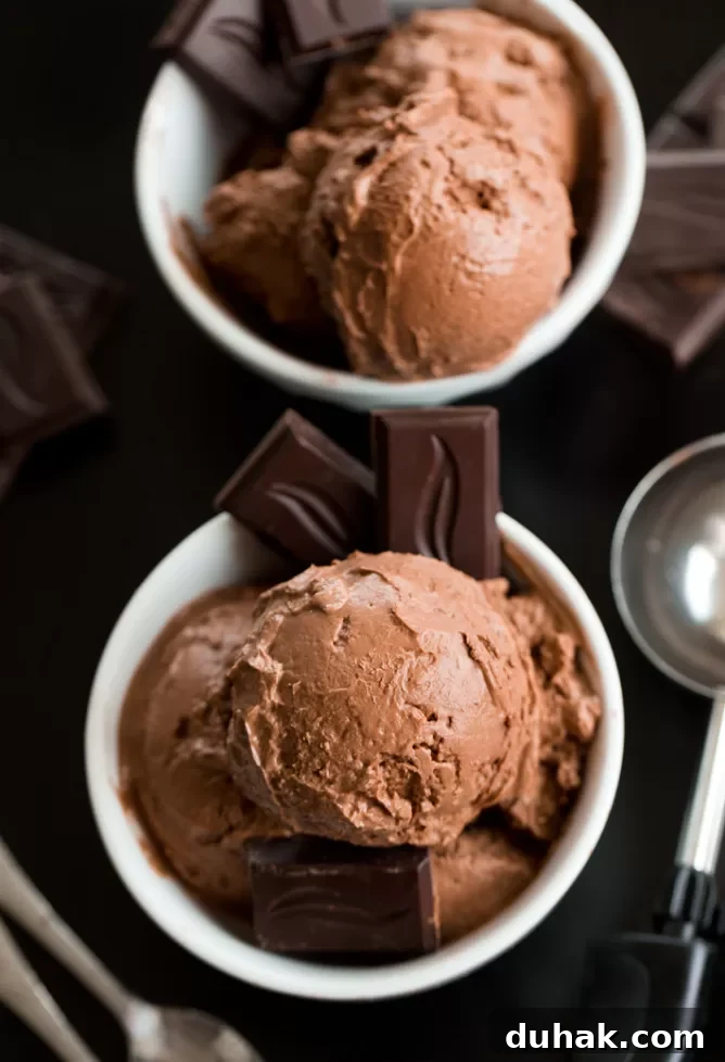 Homemade Chocolate Frozen Yogurt