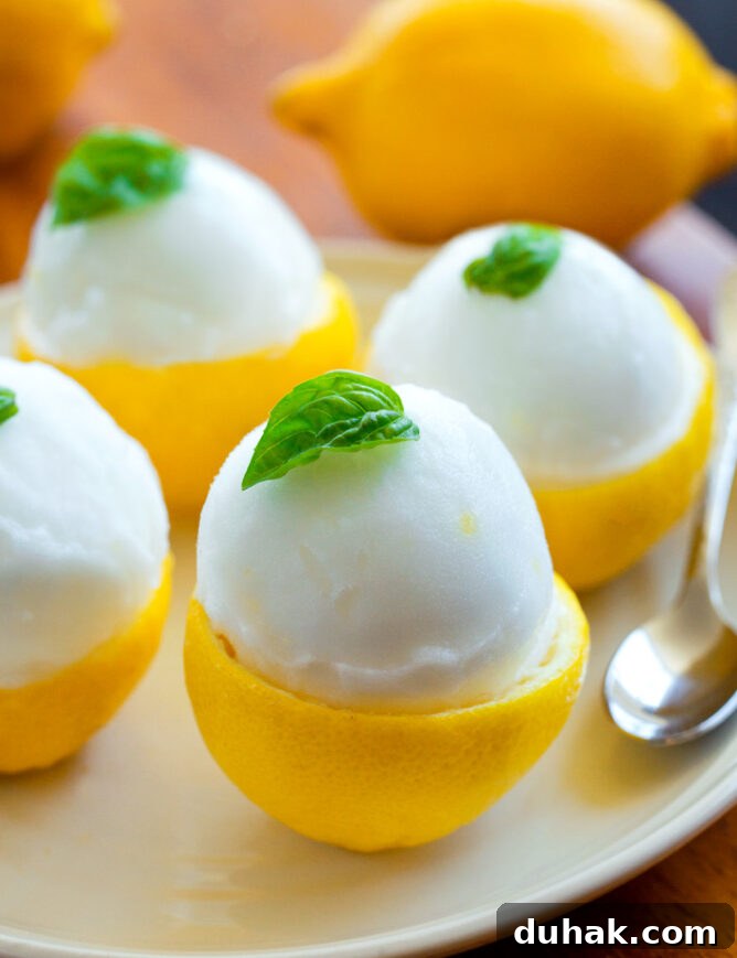 The best lemon sorbet recipe in hollowed out lemons