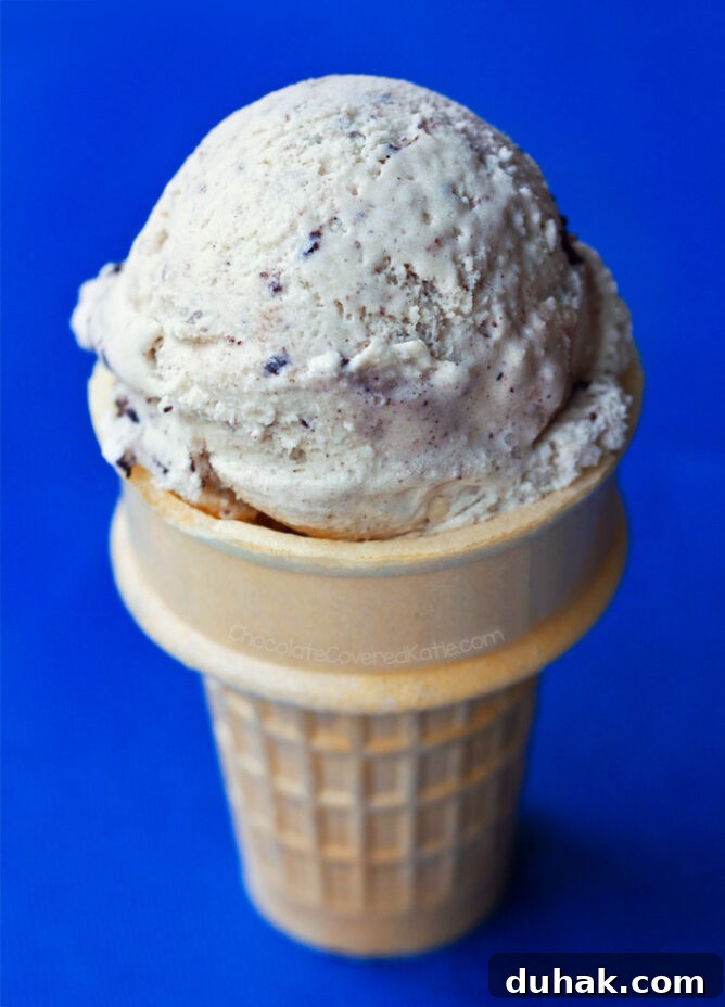 Vegan Oreo Ice Cream Recipe