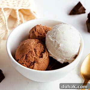 Vegan Ice Cream Recipe
