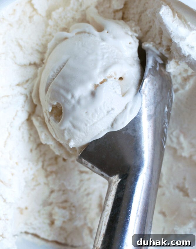 Coconut Ice Cream Dairy Free Dessert