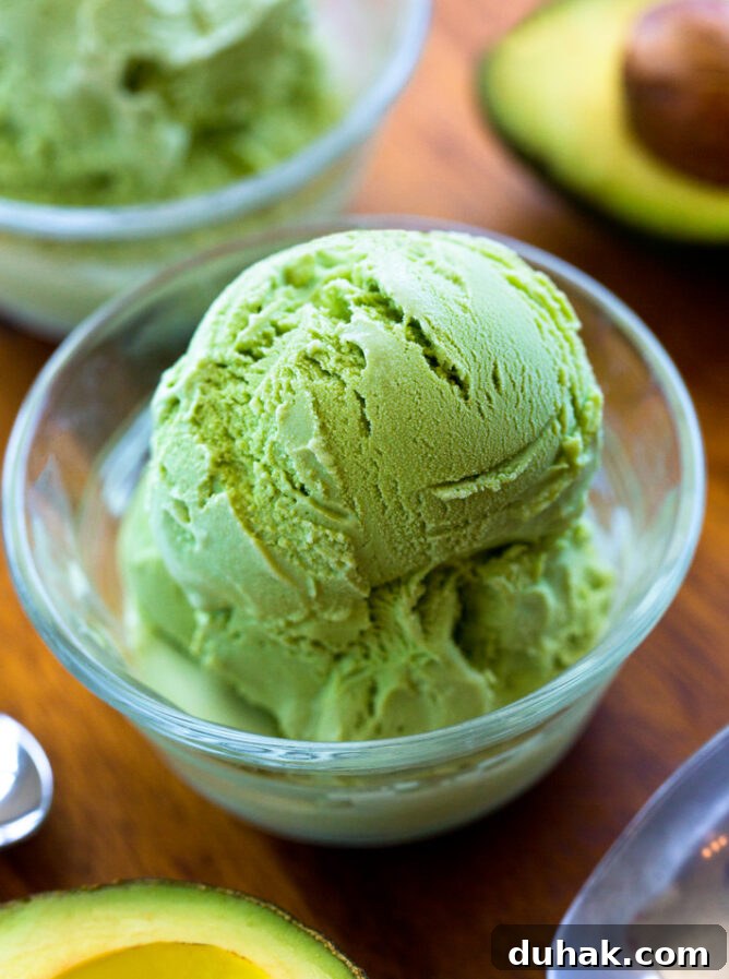 Avocado Ice Cream Recipe