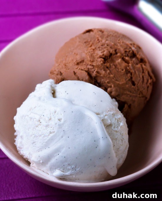 Low Carb Ice Cream