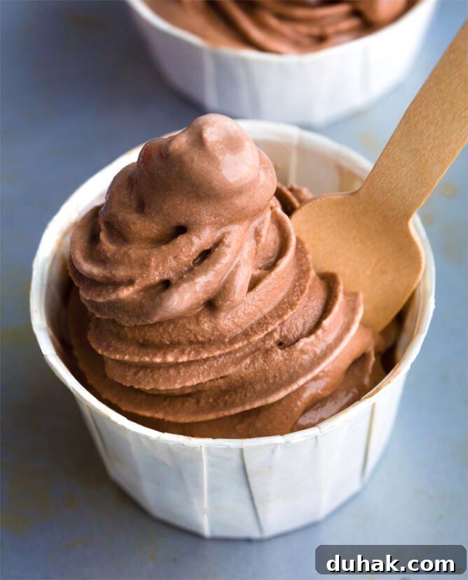 Chocolate Workout Ice Cream With No Ice Cream Maker