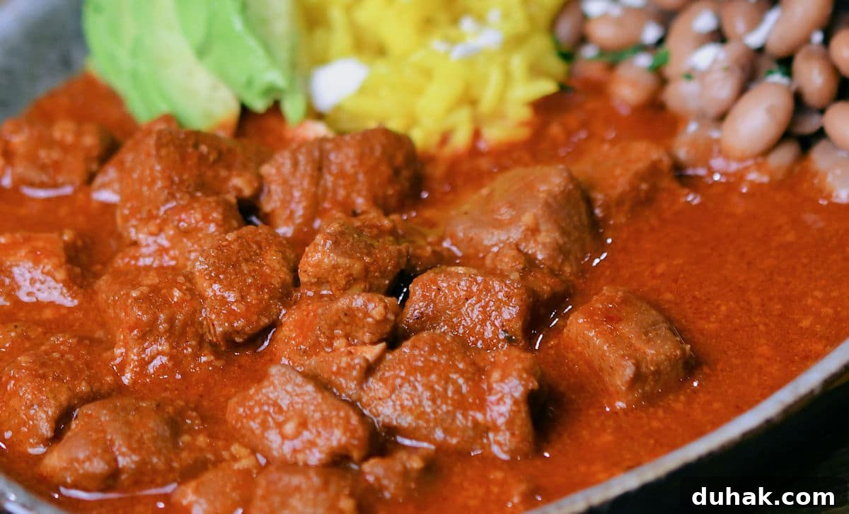 Authentic Pork Chile Colorado Asado Recipe — Savory Mexican Pork Stew 6 24Btie: Pork Chile Colorado Asado Recipe by Christian Guzman