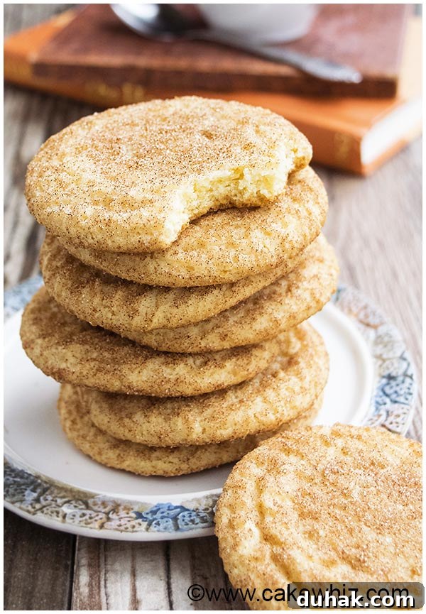 Stack of Cookies on Rustic Dish- One Cookie Is Partially Eaten