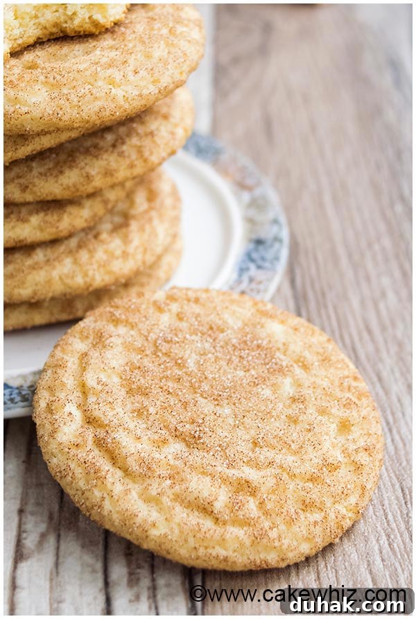 Easy Snickerdoodles on Rustic Wood Background- Closeup Shot 