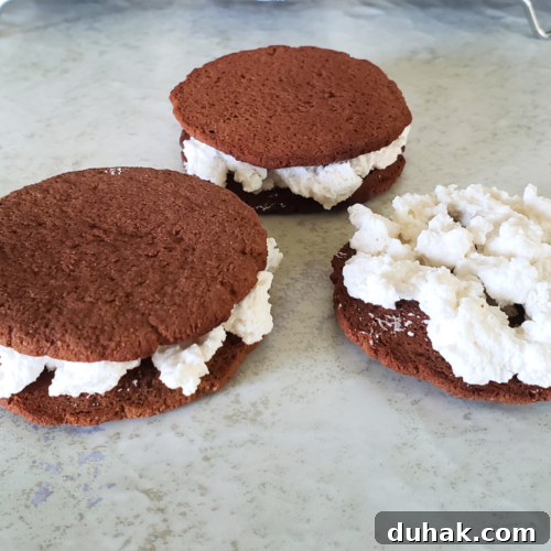 Keto Chocolate Marshmallow Cookies Recipe for Low-Carb Treats 2 Keto Chocolate Marshmallow Cookies