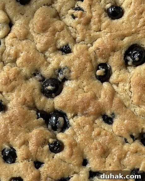 up close blueberry blondies