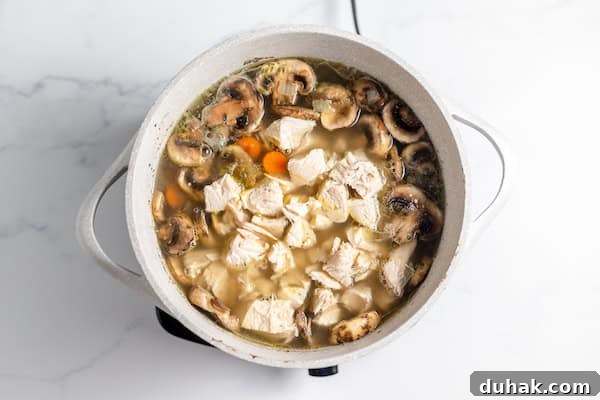 Comforting Gluten-Free Chicken with Fluffy Dumplings 7 chicken soup in a pot