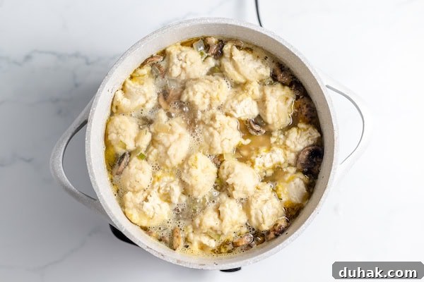 Comforting Gluten-Free Chicken with Fluffy Dumplings 9 dumplings in the pot
