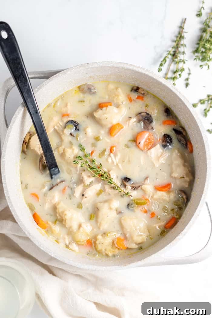 Comforting Gluten-Free Chicken with Fluffy Dumplings 10 Image, taken from above shows chicken and dumplings made with gluten free flour