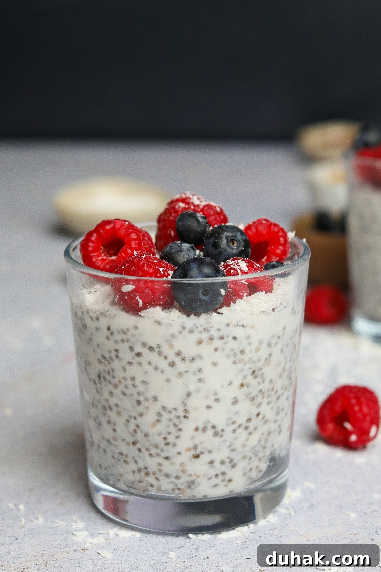 Vanilla Coconut Milk Chia Pudding