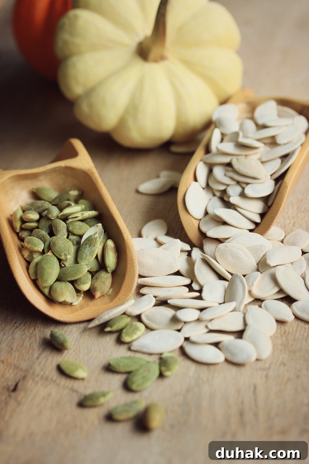 Pumpkin seeds
