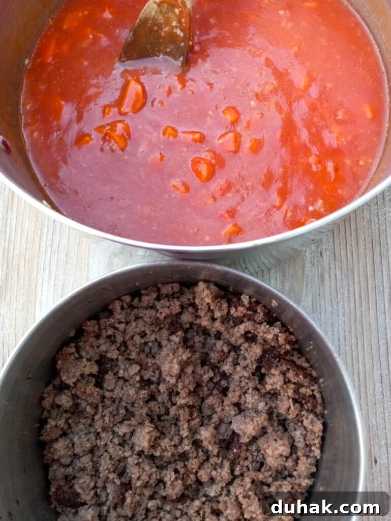 fried hamburger in a pot and tomato juice with veggies in another pot