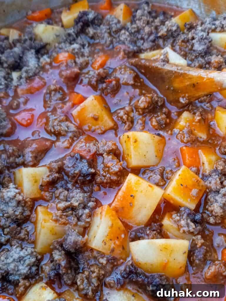 hamburger potato soup in pot without the milk